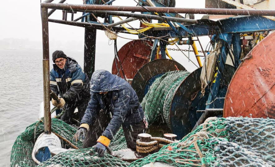 Российский рыбный экспорт сохраняет положительную динамику на фоне растущего вылова и производства рыбной продукции в стране ‎