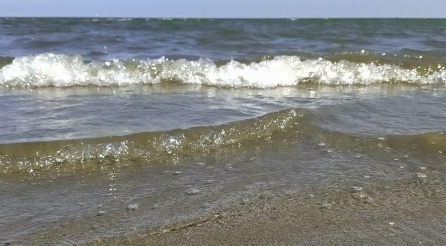 Каспийское море стремительно мелеет. Уровень воды может опуститься до 4 метров