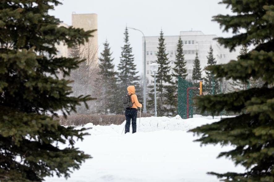 Покататься на коньках и лыжах: в парках Москвы до конца декабря откроется еще более 100 площадок для активного отдыха