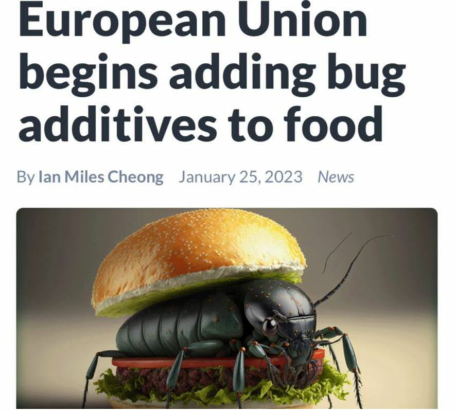 Евросоюз начинает внедрять добавки из жуков в пищу