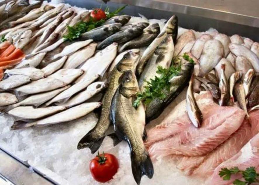 Производство рыбной продукции в России за 7 месяцев выросло на 9% — до 2,6 млн тонн