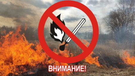 На территории Саратовской области введен особый противопожарный режим