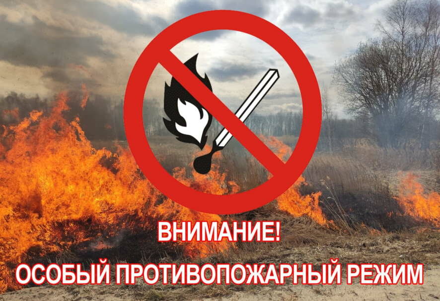 В лесах Ульяновской области действует особый противопожарный режим