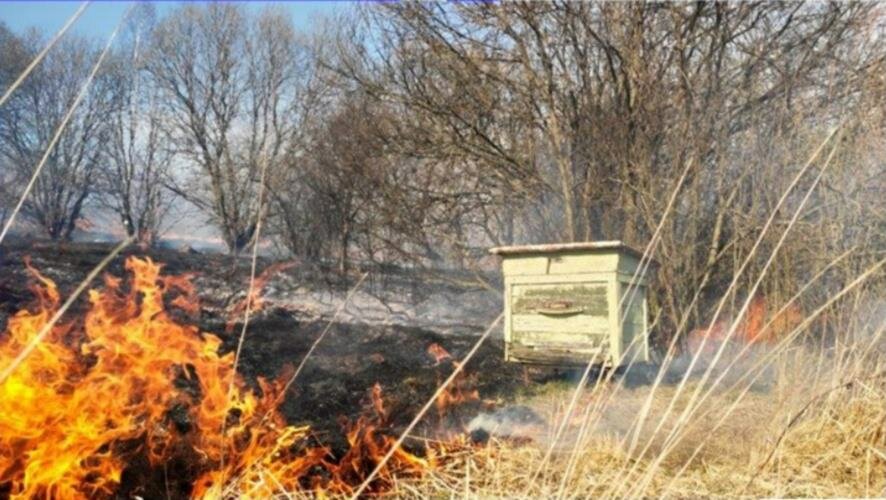Стена огня подбирается к водонасосной станции в Приморье
