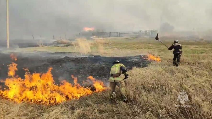 Тринадцать лесных и ландшафтных пожаров ликвидированы в Тюменской области за сутки 19 мая