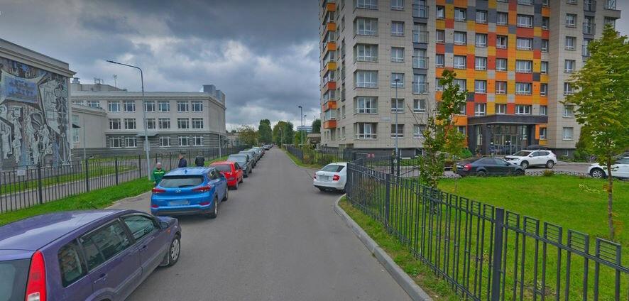 Из 75 кустов сирени осталось 25: жители Автово возмущены уничтожением зеленых насаждений