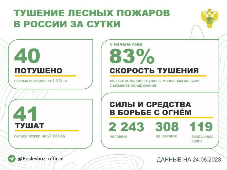 За прошедшие сутки в 18 регионах России потушили 40 лесных пожаров