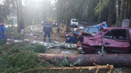 Число погибших в результате урагана в Марий Эл возросло до 8 человек
