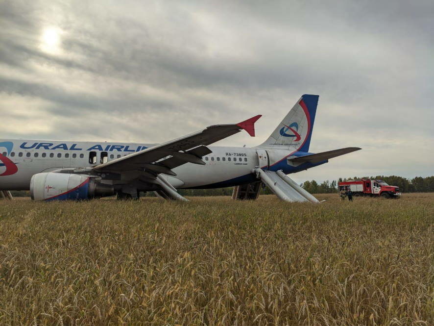 Первые кадры с места аварийной посадки самолёта «Уральских авиалиний» в Новосибирской области