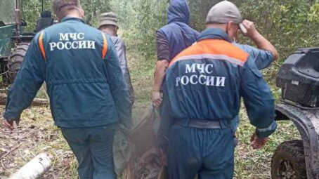 В Новгородской области спасатели МЧС России нашли пропавшего грибника