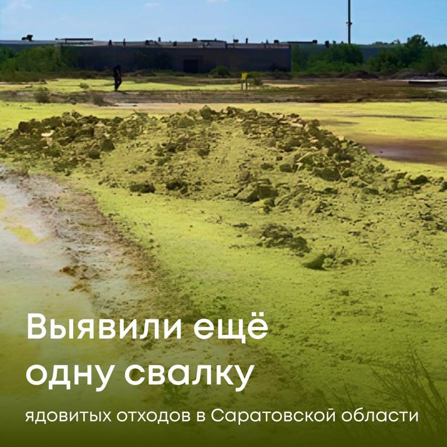 В Саратовской области выявлена еще одна свалка ядовитых отходов