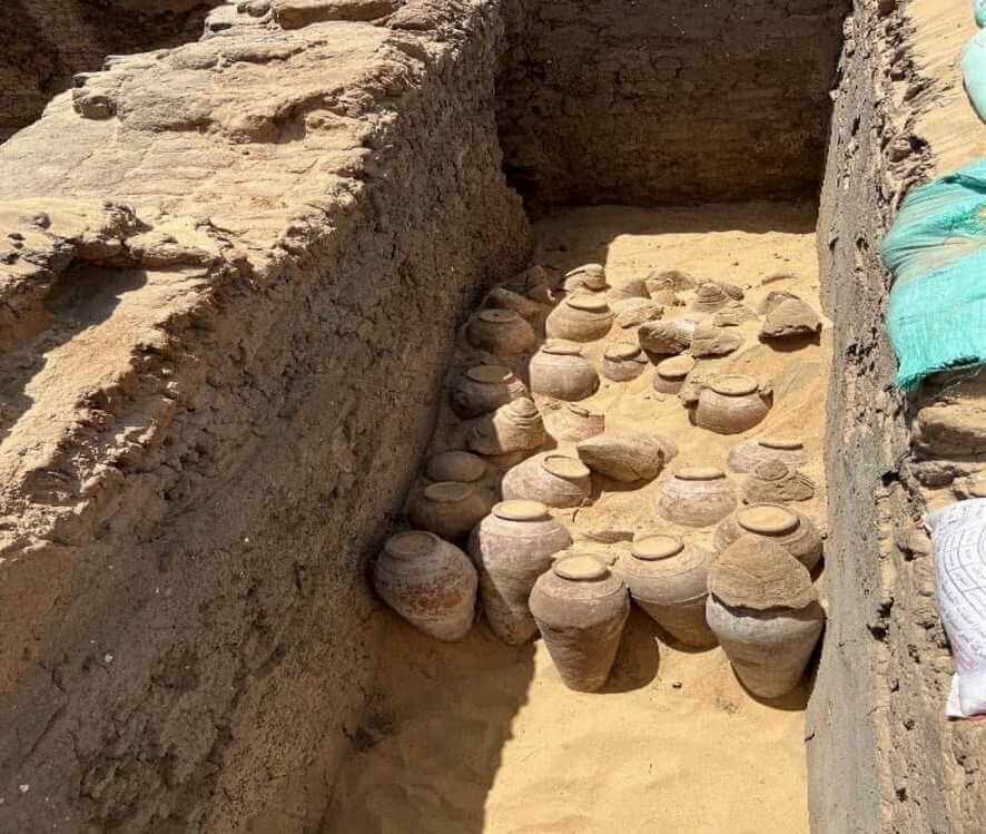 Сотни нетронутых кувшинов с вином, которому 5000 лет, обнаружили в Египте