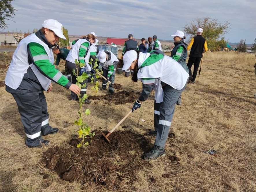 В Оренбуржье началась осенняя акция «Сохраним лес»