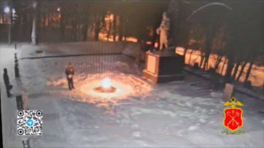Суд Петербурга выдворил из РФ семьи школьников, забросавших снегом Вечный огонь