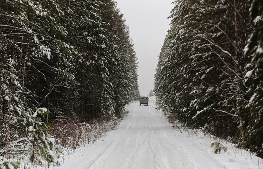 Жители Свердловской области могут срубить новогоднюю ель за две недели до праздника
