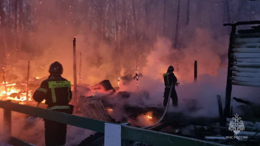 В Москве огнеборцы МЧС России спасли на пожаре 5 лошадей