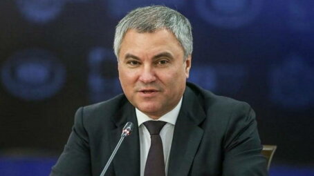 Вячеслав Володин о защите прав граждан