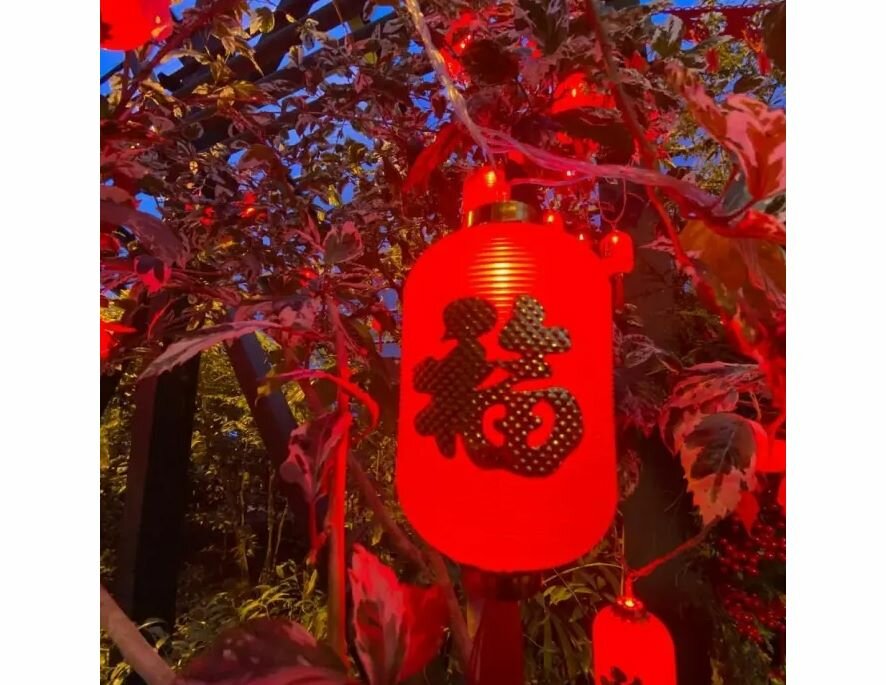 Китайский Новый год отмечают в «Аптекарском огороде»