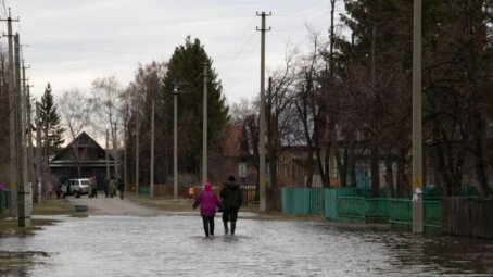 Паводковая обстановка в Курганской области на утро 22 апреля 2024 года