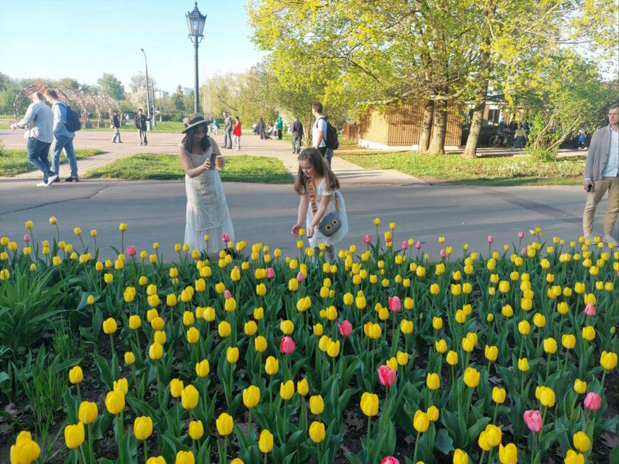 Сегодня в Москве самый теплый день января