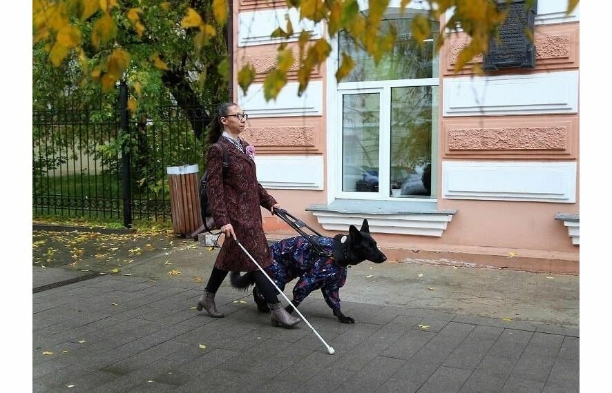Незрячие люди с собаками-поводырями будут получать 82 тысячи рублей в год в Красноярске