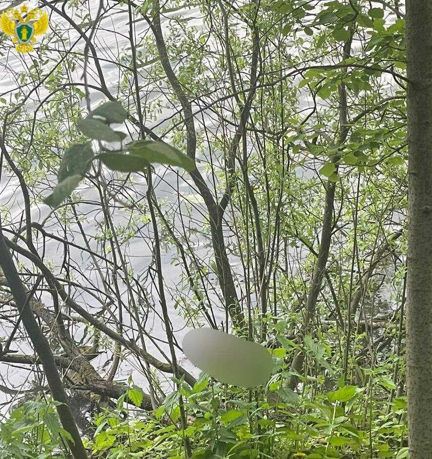Тело новорожденного обнаружено в реке Чурилиха в парке района Кузьминки