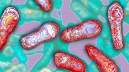 В Новой Москве зафиксирован случай ботулизма — пятеро человек отравились домашними соленьями