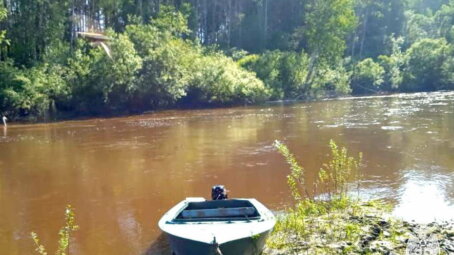 Сотрудники МЧС России ищут девятилетнего ребенка в Томской области