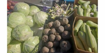 Ученые Пермского Политеха раскрыли секреты хранения овощей в квартире