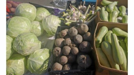 Ученые Пермского Политеха раскрыли секреты хранения овощей в квартире