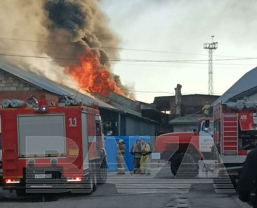 В Уфе сгорел уже второй приют для животных — погибли несколько десятков котиков