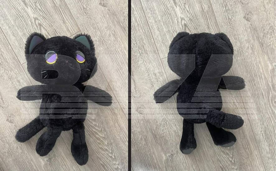 Черные коты могут быть опасны. В Москве женщина купила детскую мягкую игрушку с подозрительным свёртком внутри