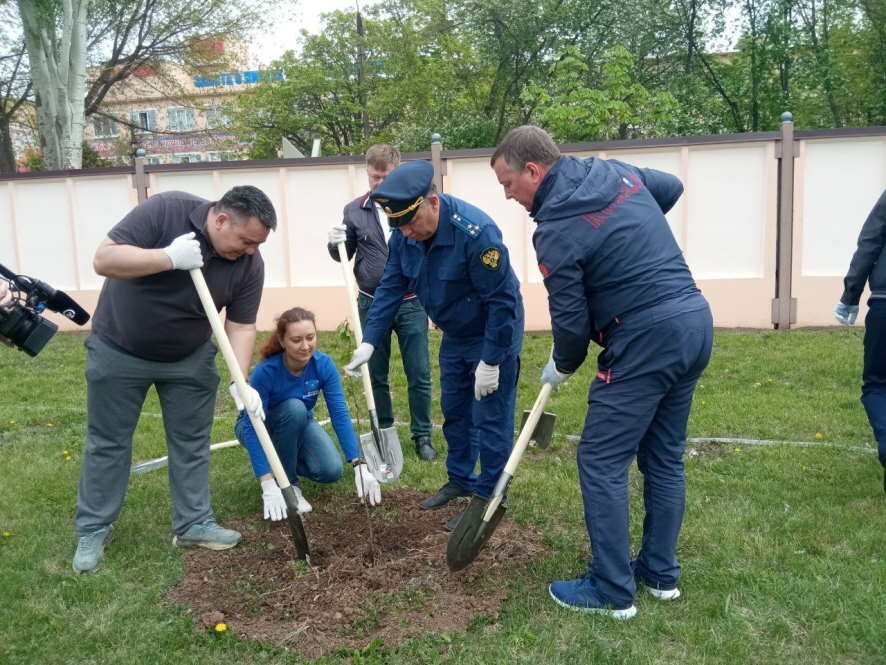 Саратовская область вошла в «Топ-10» самых активных участников акции «Сад Памяти»
