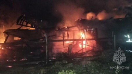 7-летняя девочка погибла на пожаре в Пензенской области