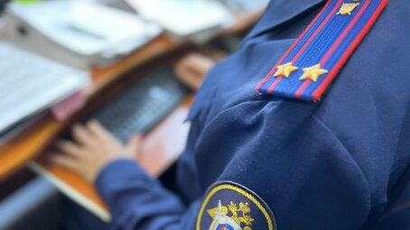 В Алтайском крае женщину задержали по подозрению в заказе убийства бизнес-партнера