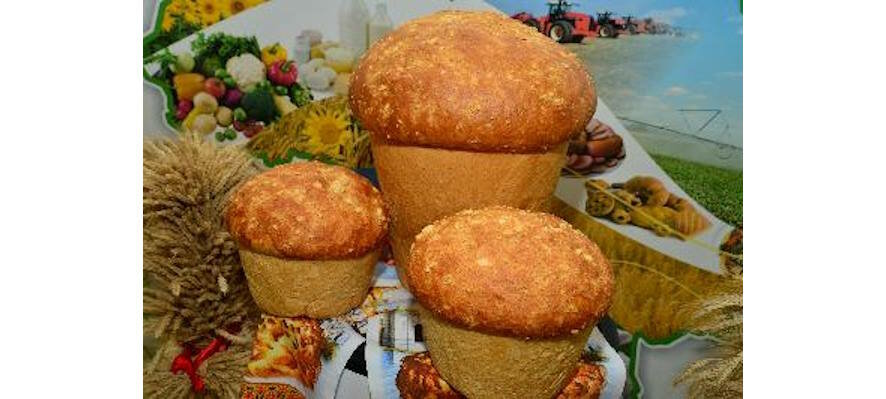 Саратовский калач вошел в «Книгу рекордов России»