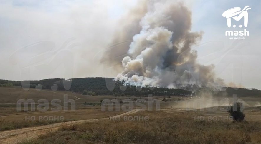 Под Симферополем крупный лесной пожар