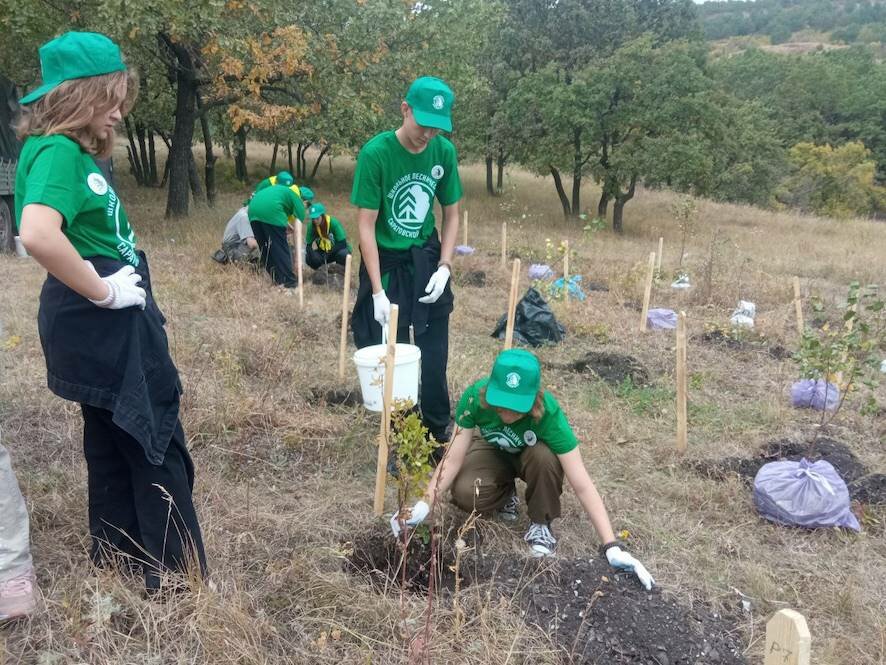 На Кумысной поляне заложили памятную аллею школьных лесничеств Саратовской области