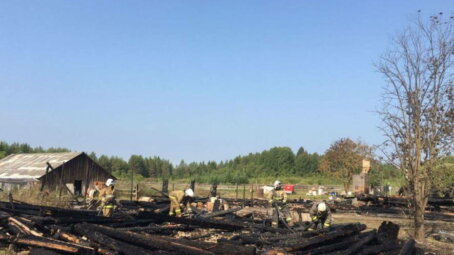 Собака спасла семью от гибели