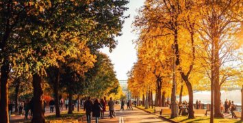 «С понедельника»: Психология вечного завтра, которое никогда не наступает