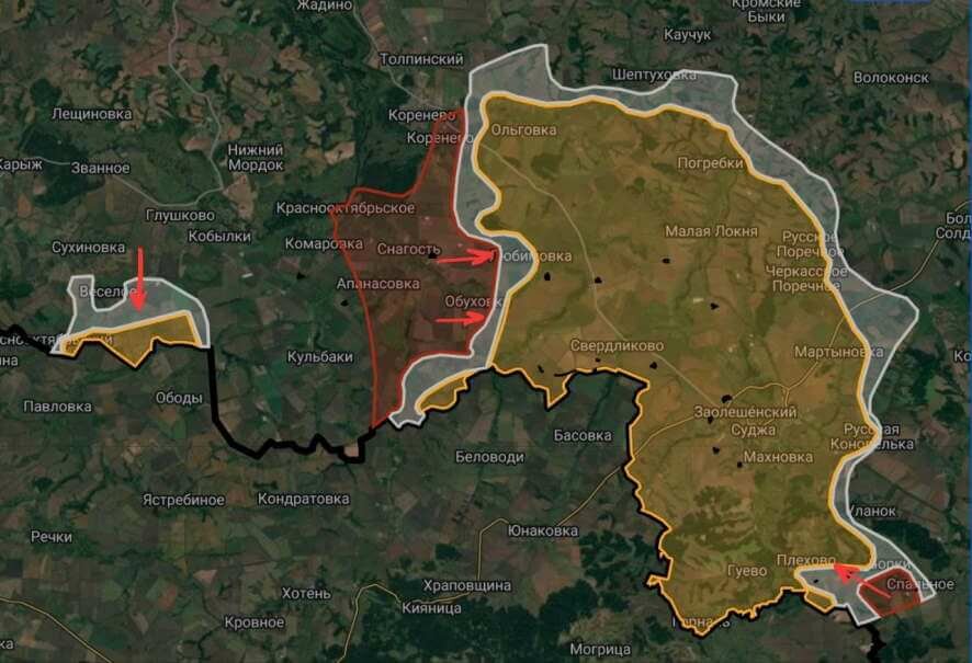 Сводка на утро 5 октября 2024 года от ТК БелВПО