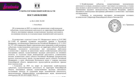 В Новосибирской области расширили спектр сфер, где мигранты больше не смогут работать