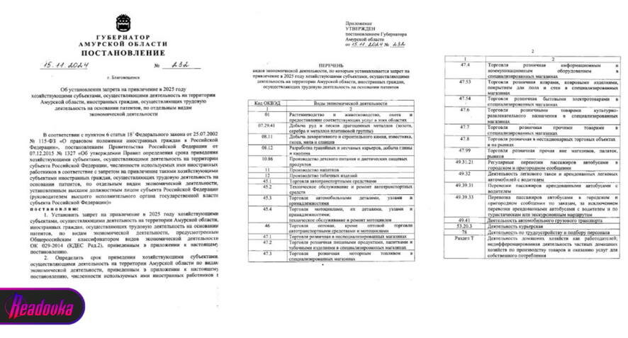 В Амурской области расширили список сфер, в которых мигранты больше не смогут работать