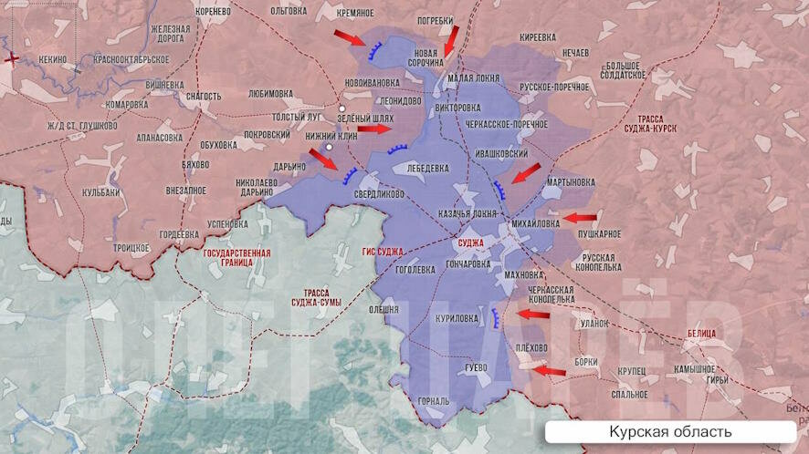 Олег Царёв — о ситуации в Курской области на 23 ноября