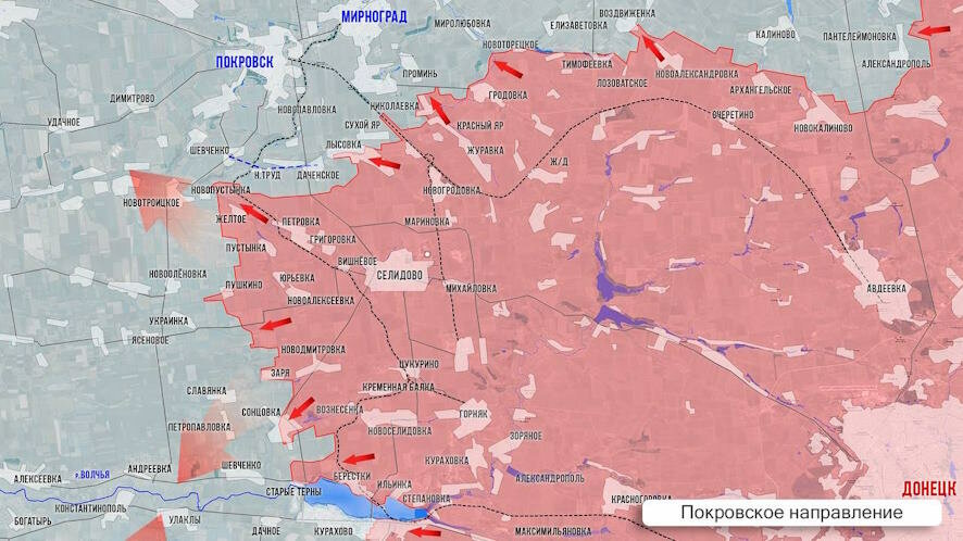 Сводка Олега Царёва о ходе спецоперации 8 декабря 2024 года