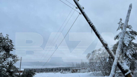 В Тверской области возбудили уголовное дело за фиктивную расчистку просек линии электропередачи — из-за этого тысячи людей остались без света