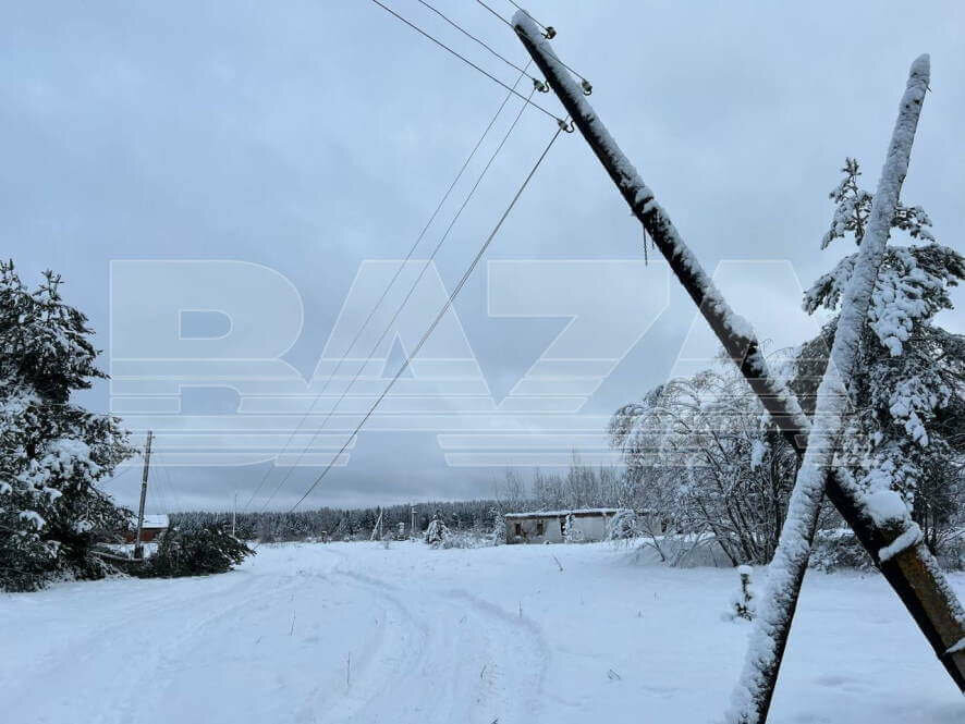 В Тверской области возбудили уголовное дело за фиктивную расчистку просек линии электропередачи — из-за этого тысячи людей остались без света