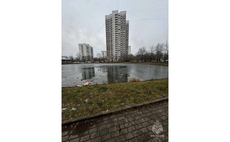 На водоеме в Москве погиб мужчина