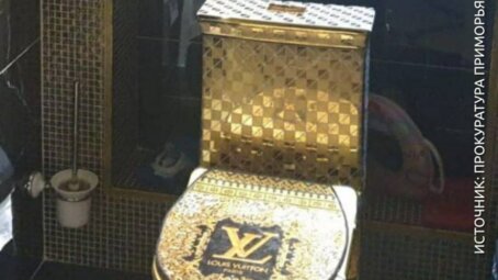 Золотой унитаз марки Louis Vuitton был найден у подрядчика, который занимался ремонтом дороги в Приморье
