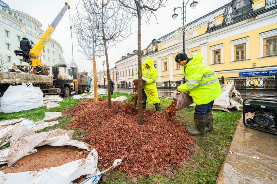 Сергей Собянин о том, как в столице занимаются озеленением